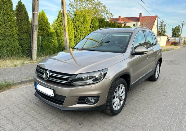 Volkswagen Tiguan cena 44500 przebieg: 251000, rok produkcji 2012 z Dębno małe 211